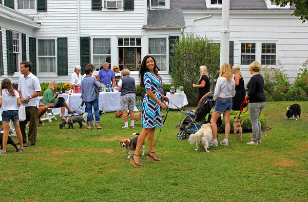 Yappy Hour shelter benefit