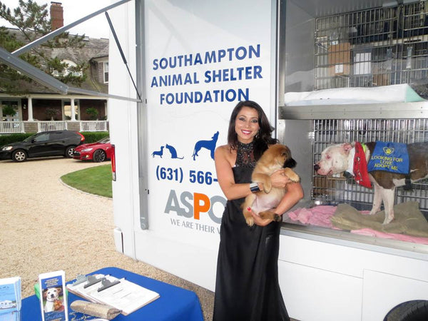 Rachel Grant at Southampton Animal Shelter Foundation Benefit