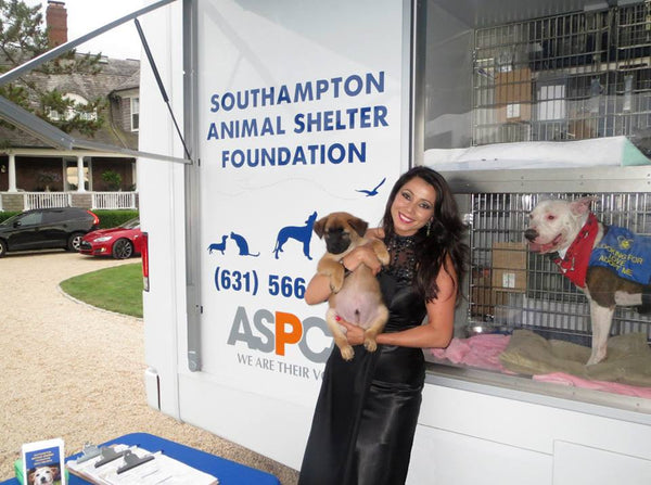 Rachel Grant at Southampton Animal Shelter Foundation Benefit