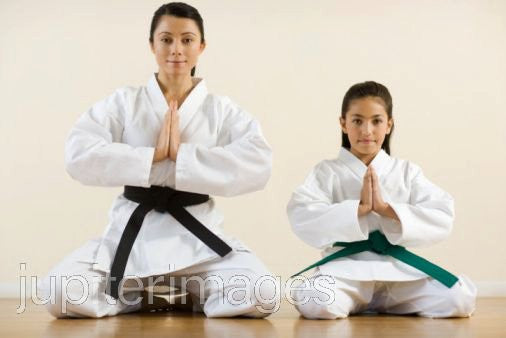 Martial Arts Instructor