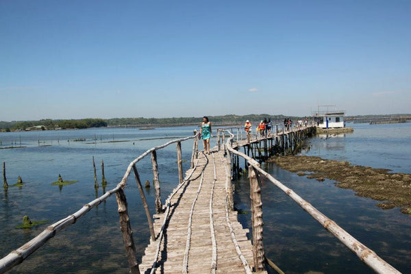 Bangrin Marine Protected Area