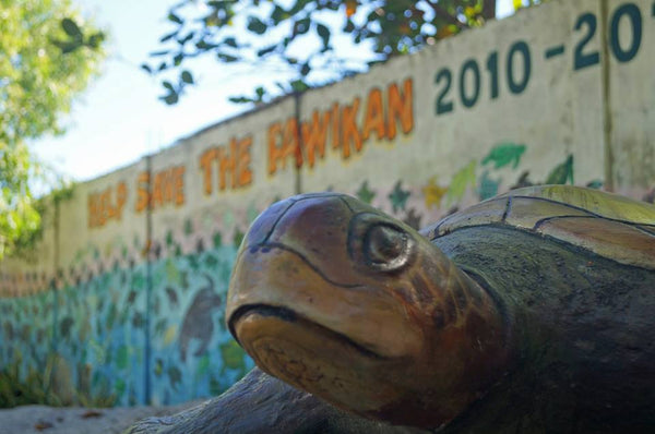 Turtle Conservation Center