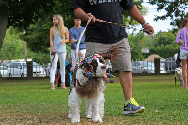 Yappy Hour shelter benefit