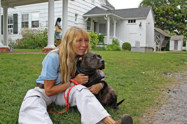 Yappy Hour shelter benefit