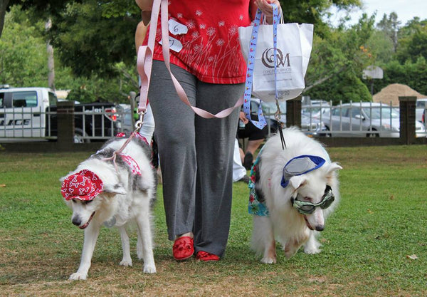 Yappy Hour shelter benefit