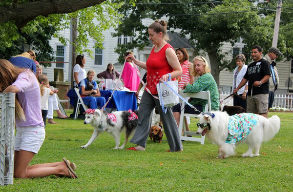 Yappy Hour shelter benefit