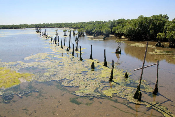 Bangrin Marine Protected Area