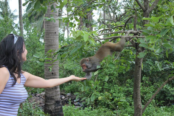 Vietnam