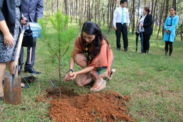 Planting trees in the Philippines 