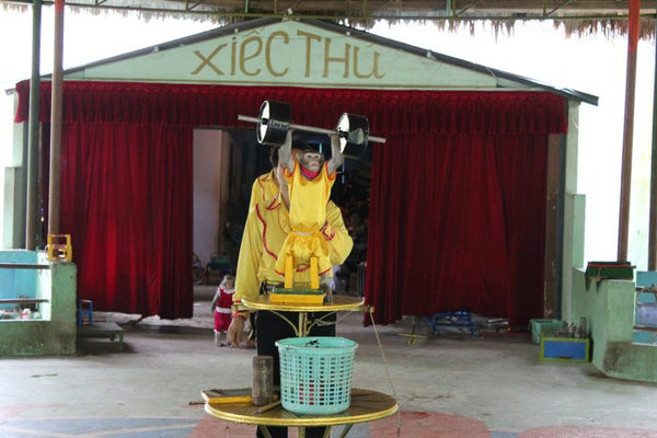 Vietnam