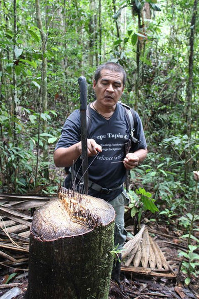 Amazon, Ecuador