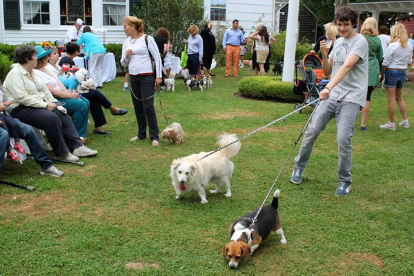 Yappy Hour shelter benefit