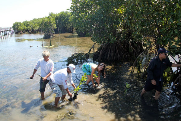 Bangrin Marine Protected Area