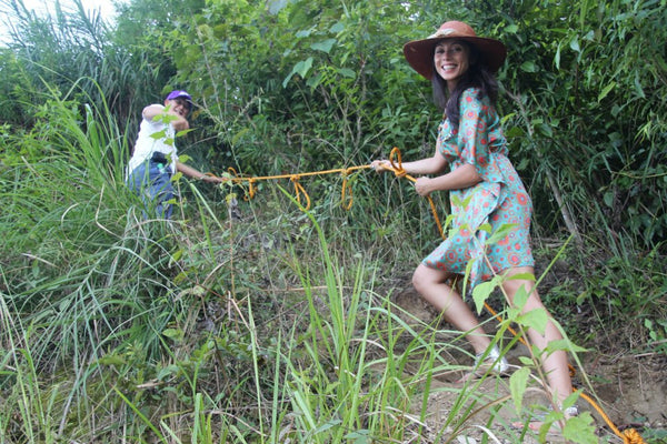 Tree Planting & building