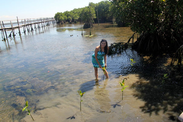 Bangrin Marine Protected Area