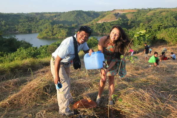 Tree Planting & building