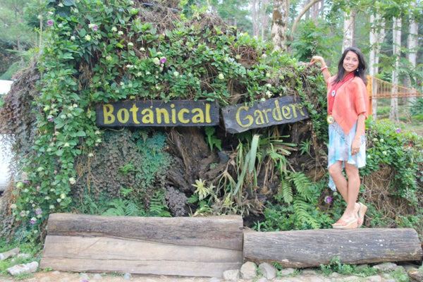 Tree Planting, Baguio