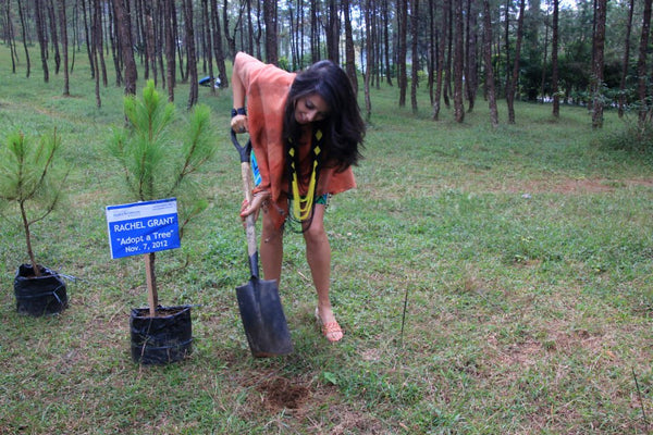 Planting trees in Baguio, Philippines 