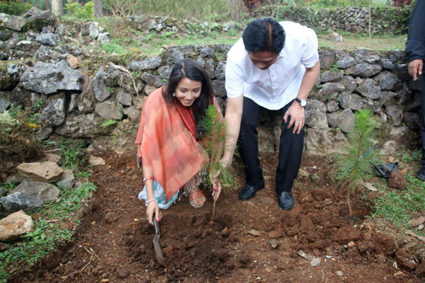 Tree Planting, Baguio