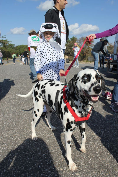 Animal Rescue Fund