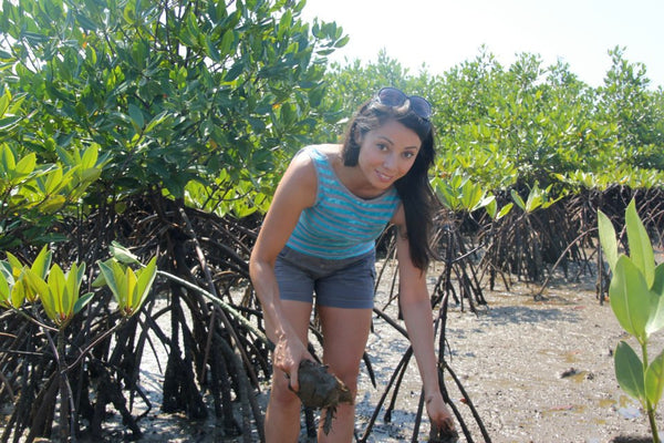 Mangrove Nurturing Facility