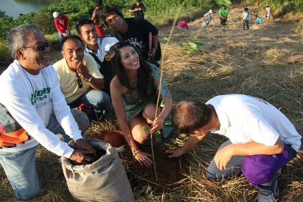 Tree Planting & building