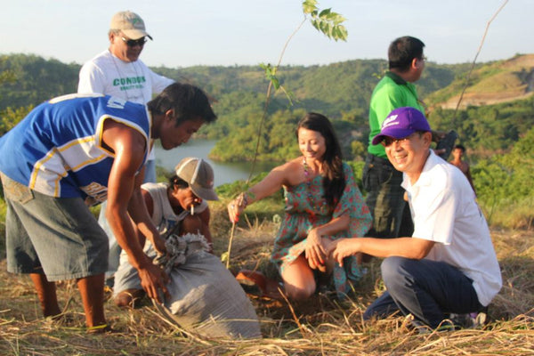 Tree Planting & building