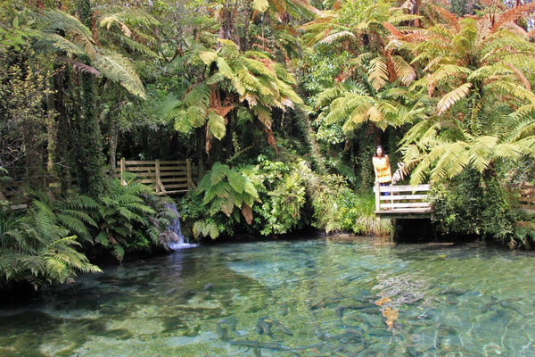 New Zealand