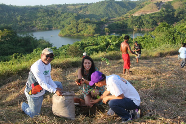 Tree Planting & building