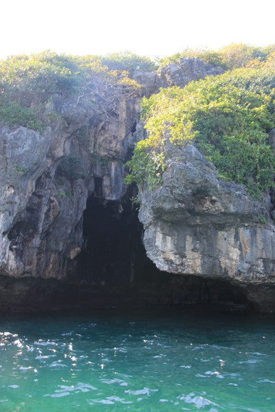 Rachel Grant scuba diving for giant clam conservation