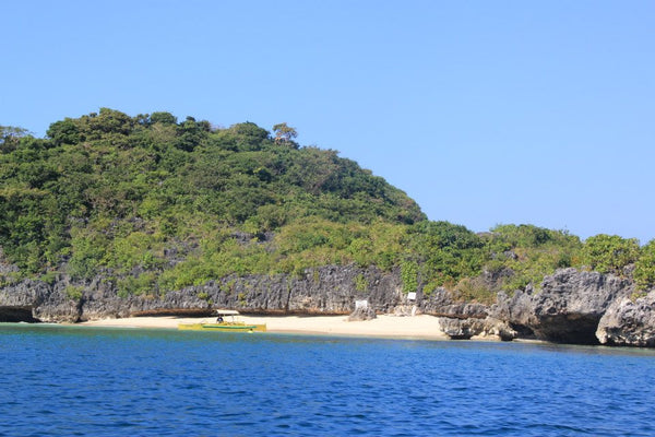 Coral & giant clam conservation