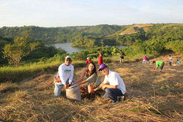 Tree Planting & building