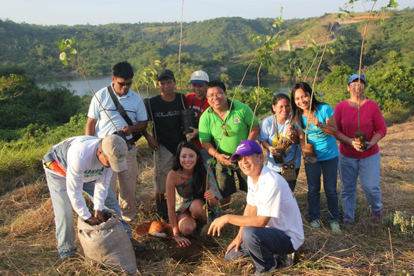 Tree Planting & building