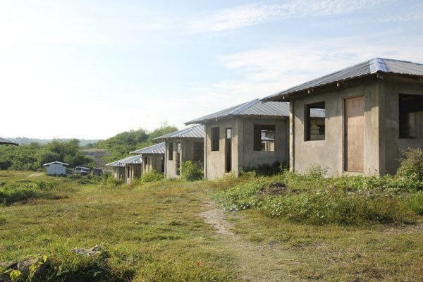 Tree Planting & building