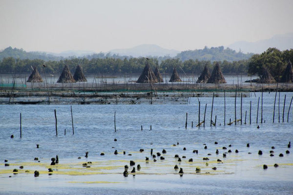 Bangrin Marine Protected Area