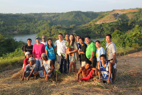 Tree Planting & building