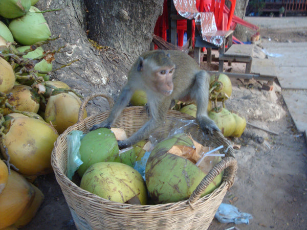 Cambodia