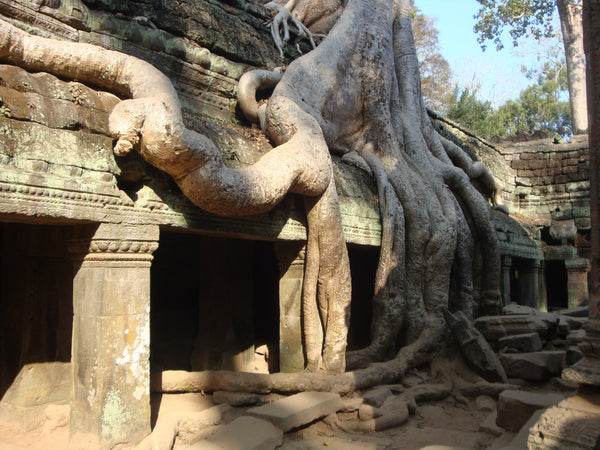 Cambodia