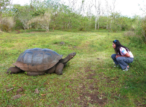 Galapagos Islands