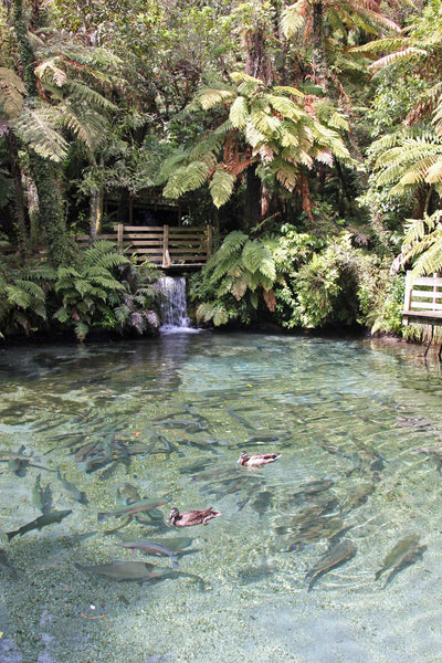 New Zealand
