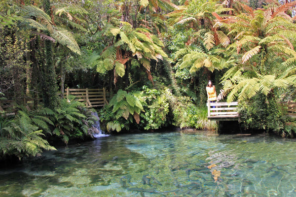 New Zealand
