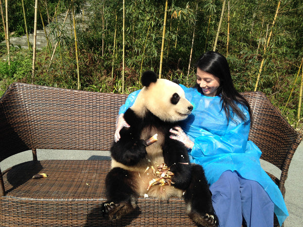 Panda Volunteering