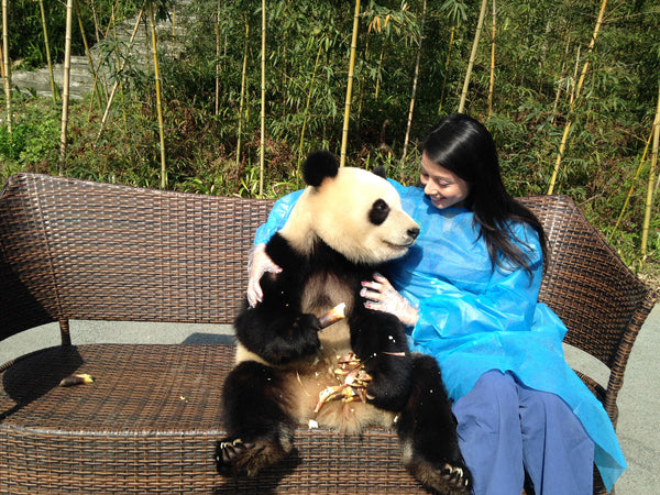 Panda Volunteering