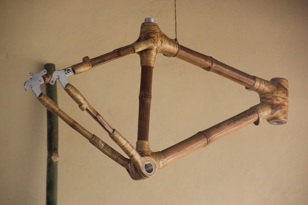 Bamboo Bikes