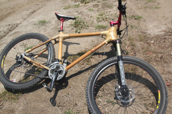 Bamboo Bikes