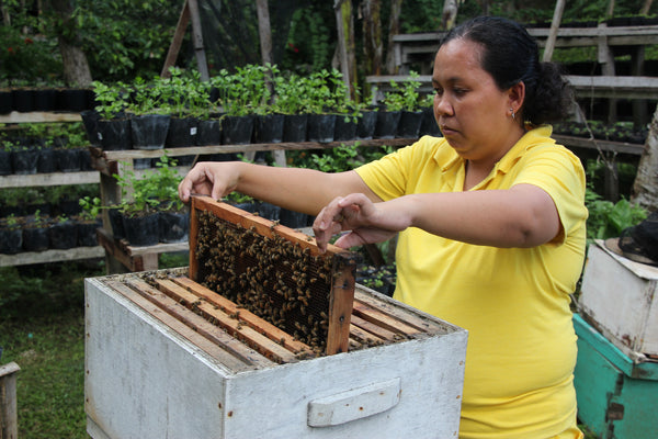 Bohol Bee Farm