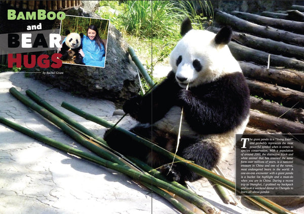 Aura Travel - Bamboo & Bear Hugs