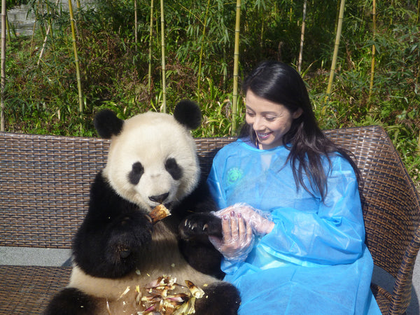 Panda Volunteering