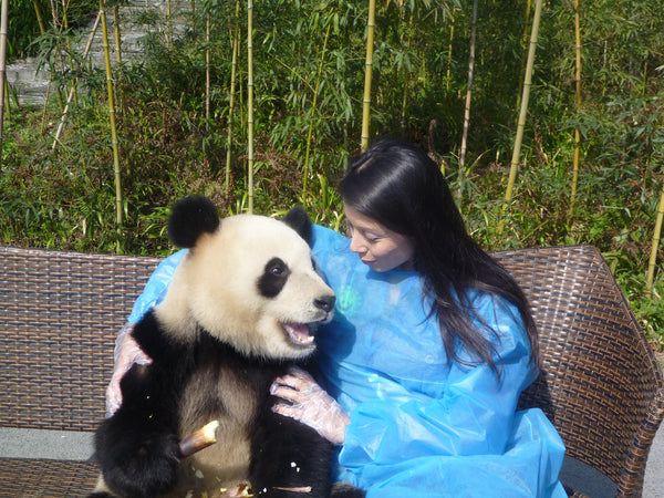 Panda Volunteering