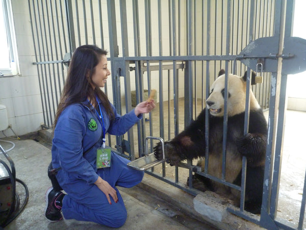 Panda Volunteering